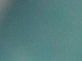 CIMG5740.JPG