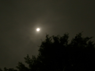 P9120373.JPG